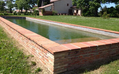 Entretien – Que révèlent la couleur et l’aspect de l’eau de votre piscine ?