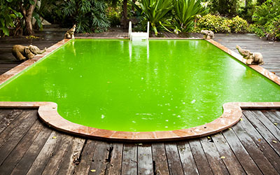 Entretien – Pourquoi ma piscine devient verte en cas de forte chaleur ?