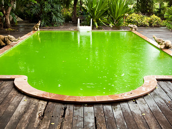 piscines-marinal-system-eau-verte