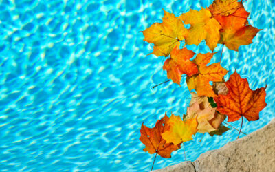 Entretien – Le piège à feuilles pour piscine