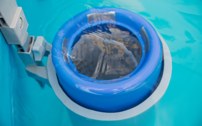 Système de filtration pour piscine