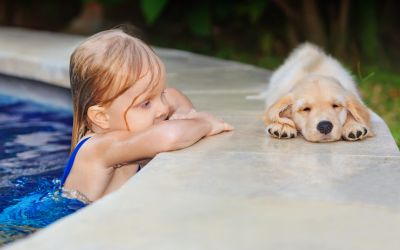Sécuriser sa piscine pour les enfants et les animaux – Le guide complet